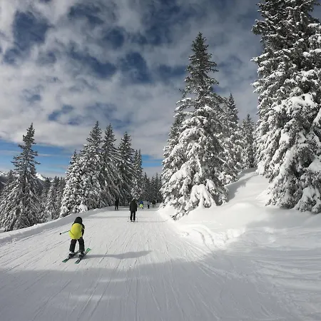 Bergchalet Dein Paradies