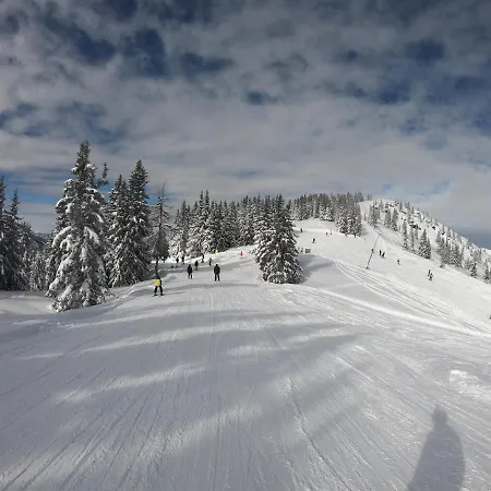 Bergchalet Dein Paradies Alpehytte *