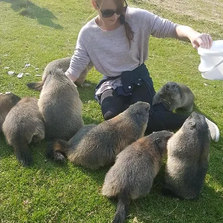 Σαλέ Bergchalet Dein Paradies *