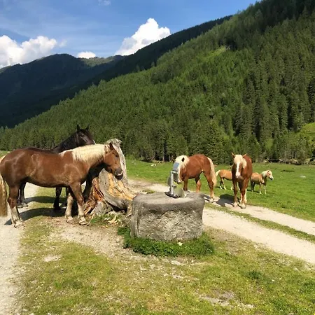 Bergchalet Dein Paradies *