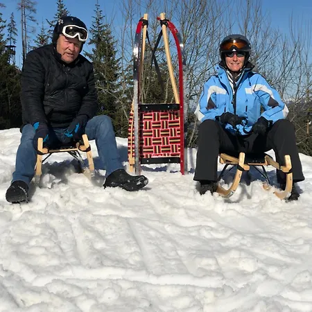 Alpehytte Bergchalet Dein Paradies Pruggern