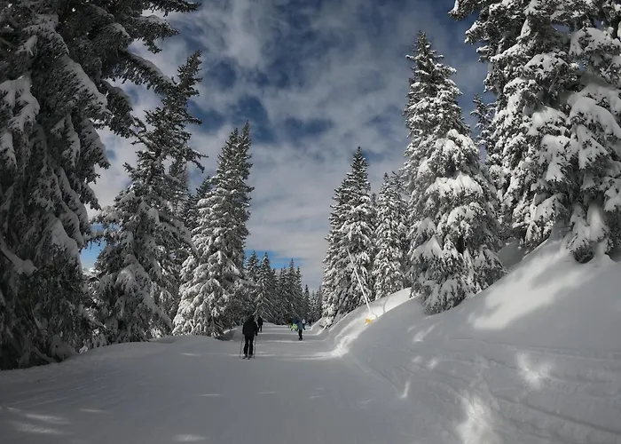 Bergchalet Dein Paradies Chalet