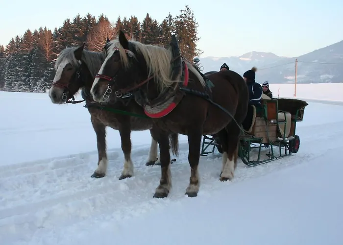 Bergchalet Dein Paradies Chalet *