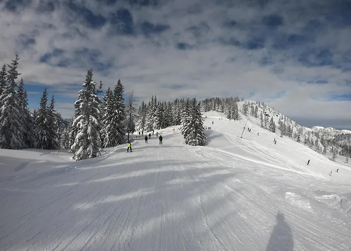 Bergchalet Dein Paradies Chalet *