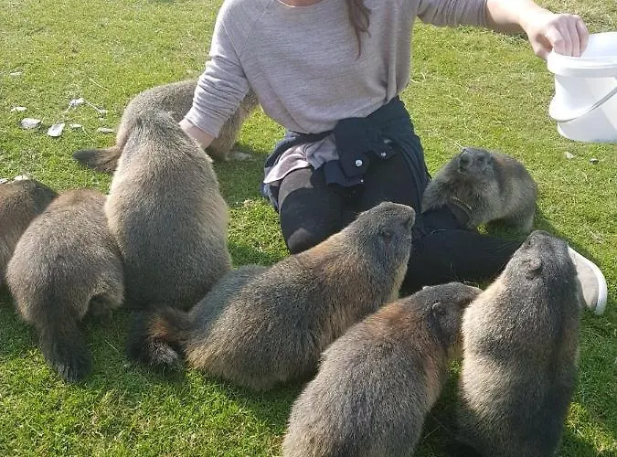 Chalet Bergchalet Dein Paradies *