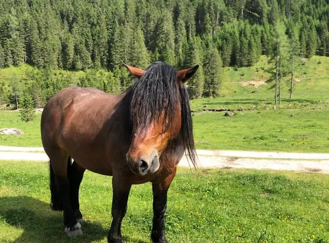 Bergchalet Dein Paradies