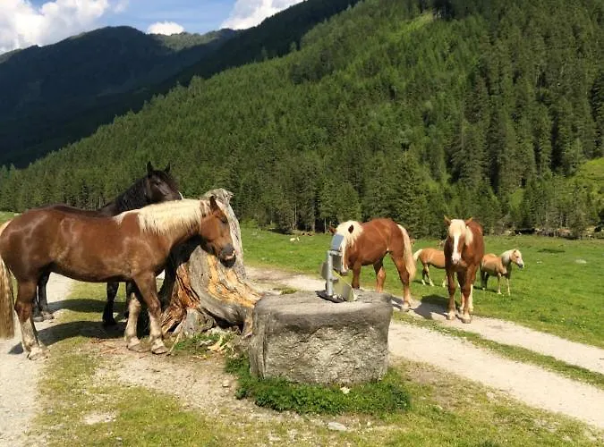 Bergchalet Dein Paradies *